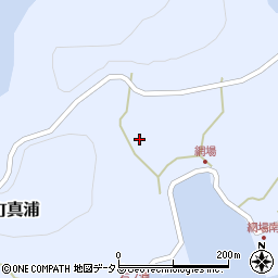 兵庫県姫路市家島町真浦239周辺の地図