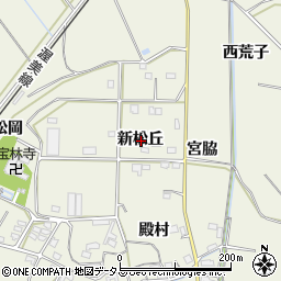 愛知県豊橋市杉山町新松丘周辺の地図