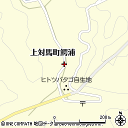長崎県対馬市上対馬町鰐浦周辺の地図