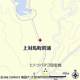 長崎県対馬市上対馬町鰐浦926周辺の地図