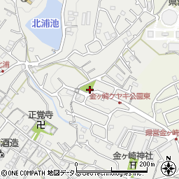 金ヶ崎ケヤキ公園周辺の地図