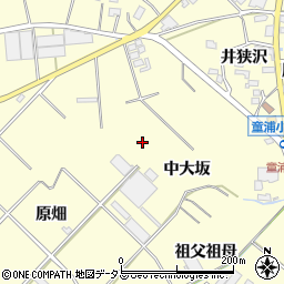 愛知県田原市浦町中大坂周辺の地図