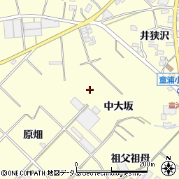 愛知県田原市浦町（中大坂）周辺の地図