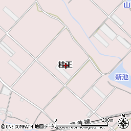 愛知県豊橋市老津町桂王周辺の地図