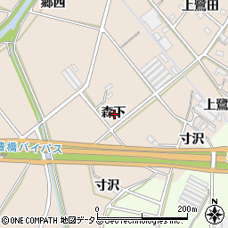愛知県豊橋市野依町森下周辺の地図