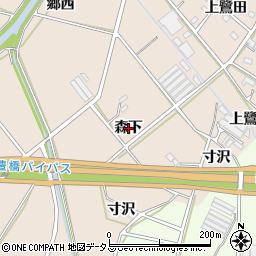 愛知県豊橋市野依町（森下）周辺の地図