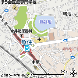 山崎堂周辺の地図