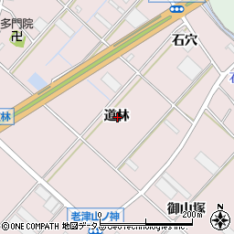 愛知県豊橋市老津町道林周辺の地図