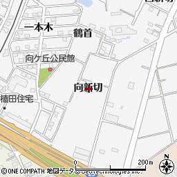 愛知県豊橋市植田町向新切周辺の地図
