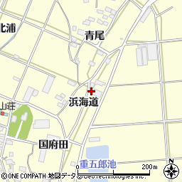 愛知県田原市浦町浜海道63周辺の地図