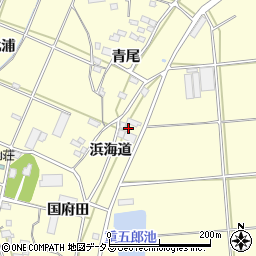 愛知県田原市浦町浜海道98周辺の地図