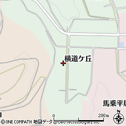 愛知県南知多町（知多郡）片名（横道ケ丘）周辺の地図