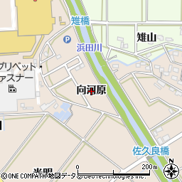 愛知県豊橋市野依町向河原周辺の地図