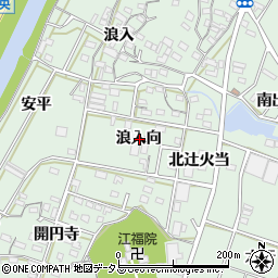 愛知県豊橋市大崎町浪入向周辺の地図