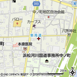 静岡県浜松市中央区中野町1175周辺の地図