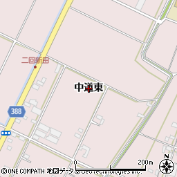愛知県豊橋市神野新田町中道東周辺の地図
