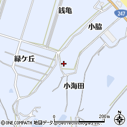 愛知県知多郡南知多町大井小脇2周辺の地図