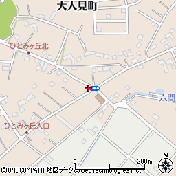 静岡県浜松市中央区大人見町798周辺の地図