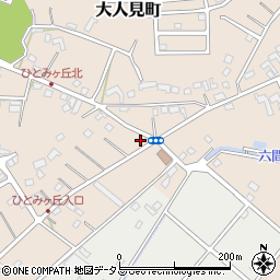 静岡県浜松市中央区大人見町797周辺の地図