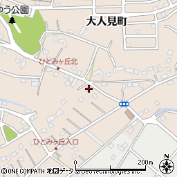 静岡県浜松市中央区大人見町795-1周辺の地図