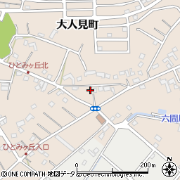 静岡県浜松市中央区大人見町811周辺の地図
