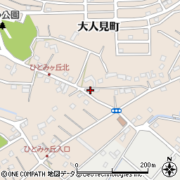 静岡県浜松市中央区大人見町802周辺の地図