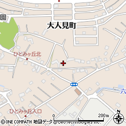 静岡県浜松市中央区大人見町808周辺の地図
