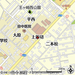 愛知県豊橋市中野町上新切周辺の地図