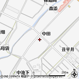 愛知県南知多町（知多郡）豊丘（中田）周辺の地図