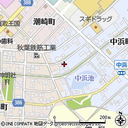 愛知県豊橋市中浜町24周辺の地図