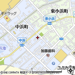 愛知県豊橋市中浜町113周辺の地図