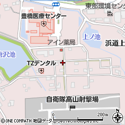 愛知県豊橋市飯村町高山185-3周辺の地図