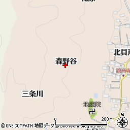 京都府木津川市加茂町観音寺（森野谷）周辺の地図