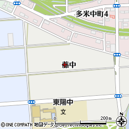 愛知県豊橋市岩崎町藤中周辺の地図