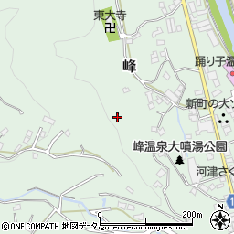 静岡県河津町（賀茂郡）峰周辺の地図