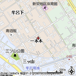愛知県豊橋市新栄町一本木周辺の地図