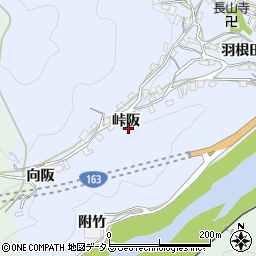 京都府笠置町（相楽郡）有市（峠阪）周辺の地図