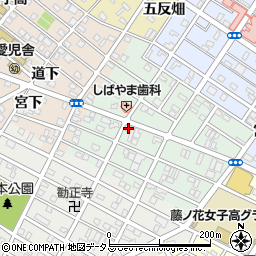 愛知県豊橋市池見町82周辺の地図