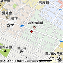 愛知県豊橋市池見町81周辺の地図