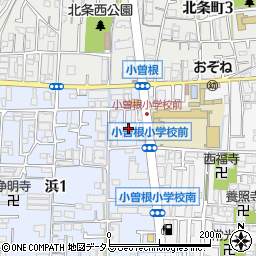 有限会社ビープット周辺の地図