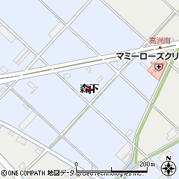 愛知県豊橋市高洲町森下周辺の地図