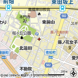 愛知県豊橋市前畑町185周辺の地図