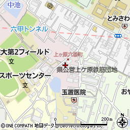 東京庵周辺の地図