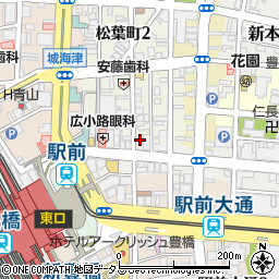 愛知県豊橋市松葉町1丁目47周辺の地図