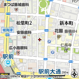 愛知県豊橋市松葉町1丁目99周辺の地図