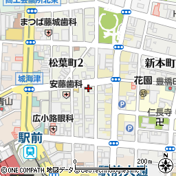 愛知県豊橋市松葉町1丁目71周辺の地図