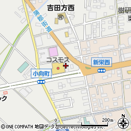 愛知県豊橋市小向町西小向周辺の地図