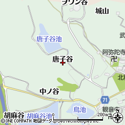 京都府精華町（相楽郡）北稲八間（唐子谷）周辺の地図