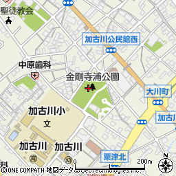 金剛寺浦公園周辺の地図