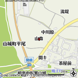 京都府木津川市山城町平尾山森周辺の地図